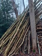 Hulsthout voor draaiwerk, mag ook per stuk of stukken., Ophalen