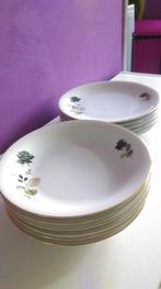 Borden met rozen, 6 soep en 5 platte stuks, z.g.a.n., Ophalen of Verzenden, Zo goed als nieuw, Bord(en), Overige stijlen