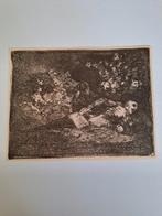Francisco de Goya - Litho, Antiek en Kunst, Ophalen of Verzenden