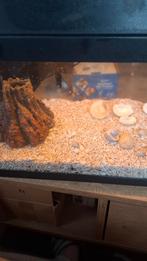 JUWEL-aquarium, Dieren en Toebehoren, Vissen | Aquaria en Toebehoren, Ophalen, Zo goed als nieuw, Leeg aquarium