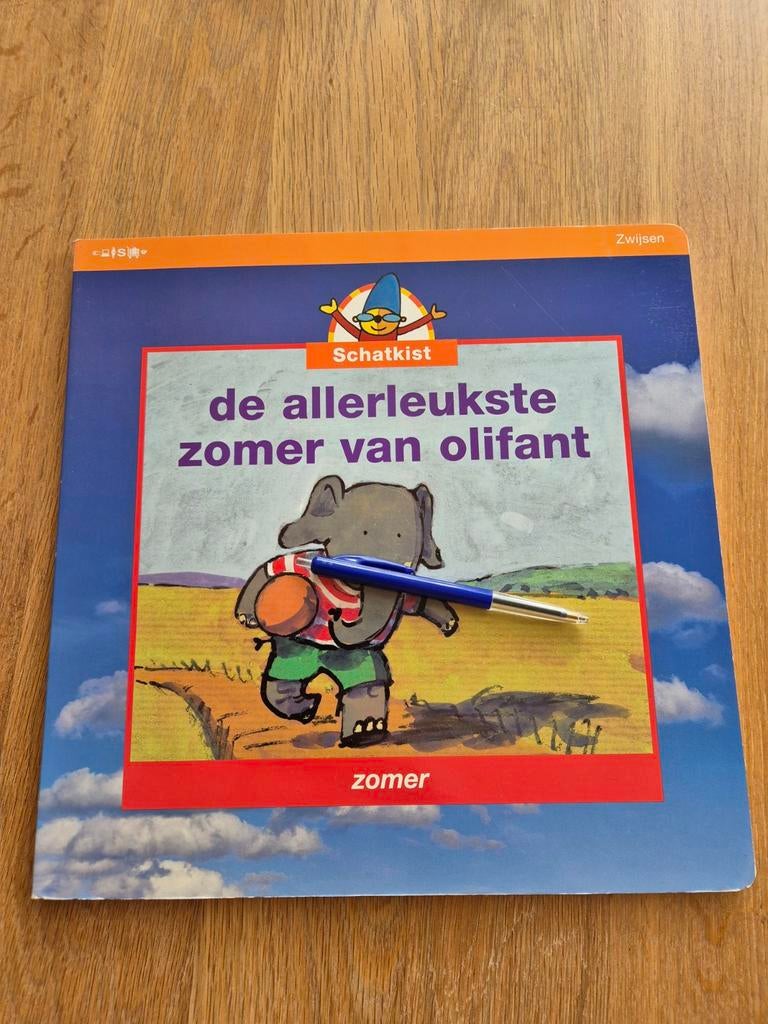 SCHATKIST REUZENBOEK ZOMER, Ophalen of Verzenden, Zo goed als nieuw, Overige niveaus, Nederlands
