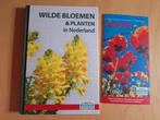Boek wilde bloemen & planten in Nederland, Ophalen of Verzenden, Nieuw, Fiets- of Wandelgids, Overige merken