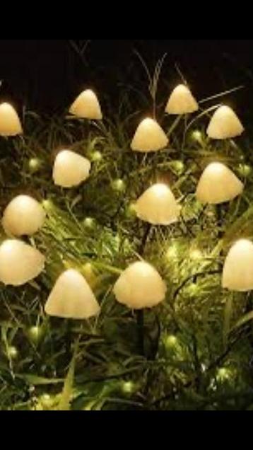 Super Leuke LED Paddenstoelen voor Buiten óf Binnen | Nieuw beschikbaar voor biedingen