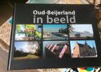 Boek: Oud Beijerland in beeld met heel veel foto’s., Boeken, Kunst en Cultuur | Architectuur, Ophalen of Verzenden, Zo goed als nieuw