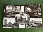 ansichtkaart van Ammerzoden , Groeten uit Ammerzoden., Verzamelen, Ansichtkaarten | Nederland, Verzenden, 1960 tot 1980