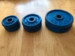 HALTERSCHIJVEN GIETIJZER (25 MM BORING) TE KOOP!, Sport en Fitness, Fitnessmaterialen, Halterschijven, Gebruikt, Rug, Ophalen