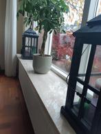 Travertin vensterbank, Doe-het-zelf en Verbouw, Plinten en Afwerking, Gebruikt, Hardsteen, Vensterbanken, Ophalen of Verzenden