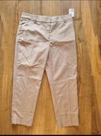 Dames broek maat 46, Overige kleuren, Maat 46/48 (XL) of groter, Nieuw, Ophalen of Verzenden