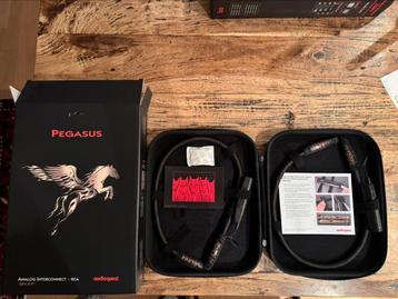 Audioquest Pegasus RCA 60cm Interlinks beschikbaar voor biedingen