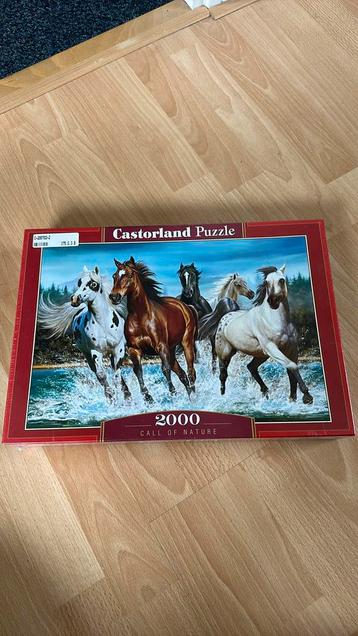 Castorland puzzel beschikbaar voor biedingen
