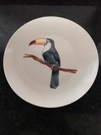 Wandbord wonder wall Toekan, Ophalen of Verzenden