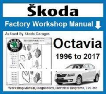 Skoda Octavia 1996-2017 Elsawin 6.0 op USB stick beschikbaar voor biedingen