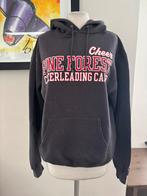 Vintage Champion Hoodie maat M, Kleding | Heren, Champion, Grijs, Gedragen, Verzenden