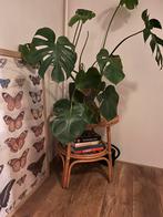 Rotan geweven vintage boho tafeltje, Ophalen, Halfschaduw, Minder dan 100 cm