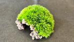 Bruisplant (kunststof) - plant met bruissteen, Dieren en Toebehoren, Vissen | Aquaria en Toebehoren, Ophalen of Verzenden, Nieuw
