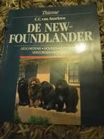 Saarloos - Newfoundlander, Ophalen of Verzenden, Zo goed als nieuw, Paarden of Pony's, Saarloos