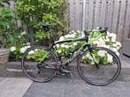 Wilier Gran Turismo -Carbon -Ultegra, Carbon, Zo goed als nieuw, Meer dan 20 versnellingen, 53 tot 57 cm
