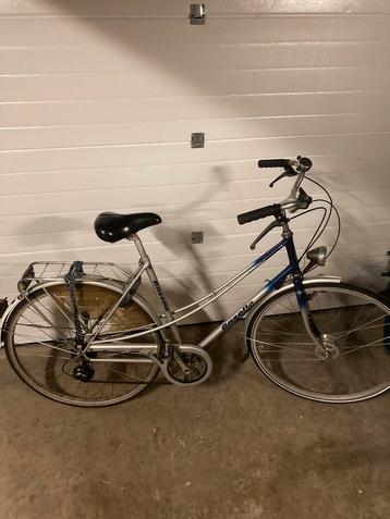 Gazelle beschikbaar voor biedingen