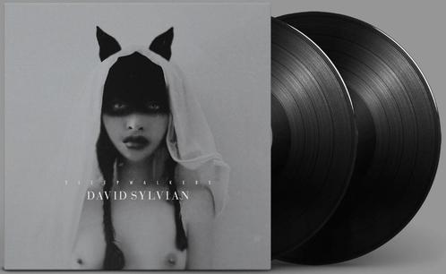 Vinyl 2LP + Print David Sylvian Sleepwalkers NIEUW, Cd's en Dvd's, Vinyl | Pop, Nieuw in verpakking, 2000 tot heden, 12 inch, Ophalen of Verzenden