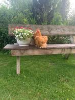 cochinkriel kippen buff, Dieren en Toebehoren, Vrouwelijk, Kip