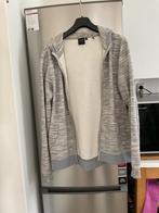 Heren vest, Kleding | Heren, Truien en Vesten, Maat 52/54 (L), Ophalen of Verzenden, Grijs, Gedragen