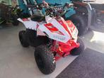 Kinderquad 125cc