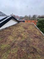 Sedumdak - Groendak met subsidie mogelijkheden, Ophalen, Overige materialen, Overige kleuren, Overige typen