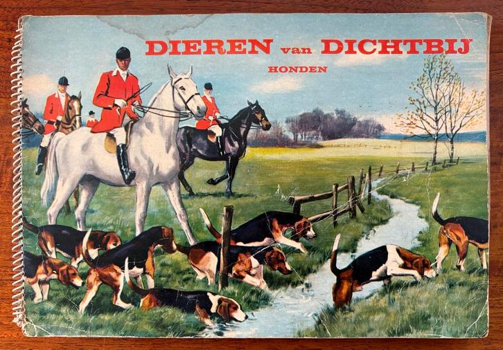 Full Speed Plaatjesboek Dieren (Honden) Dichtbij, Boeken, Catalogussen en Folders, Gelezen, Catalogus, Ophalen of Verzenden