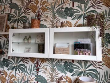 Kast deurtjes IKEA Besta