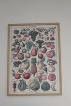 Poster fruit Desenio in lijst, Huis en Inrichting, Woonaccessoires | Schilderijen, Tekeningen en Foto's, Ophalen, 50 tot 75 cm