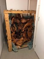 Uniek onderwaterleven sculptuur, tropische houtsoort, Antiek en Kunst, Ophalen