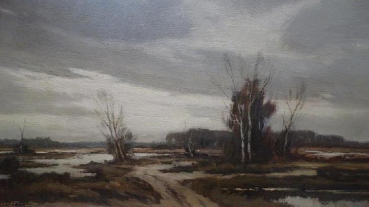 Maurice Sterck (1910-1983) groot heidelandschap, Antiek en Kunst, Kunst | Schilderijen | Klassiek, Ophalen