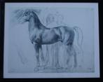 Edgar Degas print, study of figures with a horse, Ophalen of Verzenden