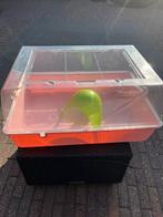 Hamsterkooi, Dieren en Toebehoren, Minder dan 60 cm, Kooi, Gebruikt, Minder dan 75 cm