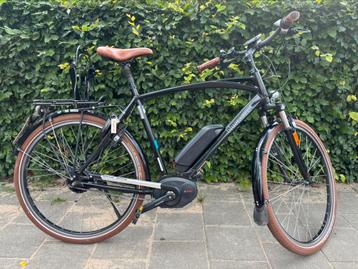 Riese & Müller Cruiser Speedbike incl. veel accessoires beschikbaar voor biedingen