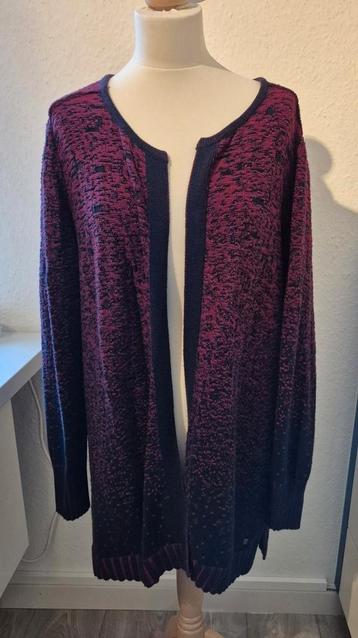 Mooi vest van Cecil maat XL beschikbaar voor biedingen