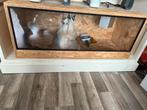 OSB terrarium 100x50x50, Dieren en Toebehoren, Reptielen en Amfibieën | Toebehoren, Ophalen, Zo goed als nieuw, Terrarium of Paludarium