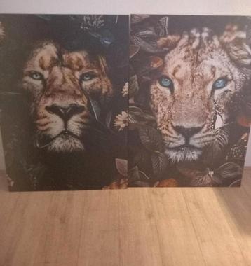 Leeuwen Schilderijen Set - Metaal - 100x70cm beschikbaar voor biedingen