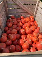 Hokkaido eet pompoenen, Diversen, Levensmiddelen, Ophalen