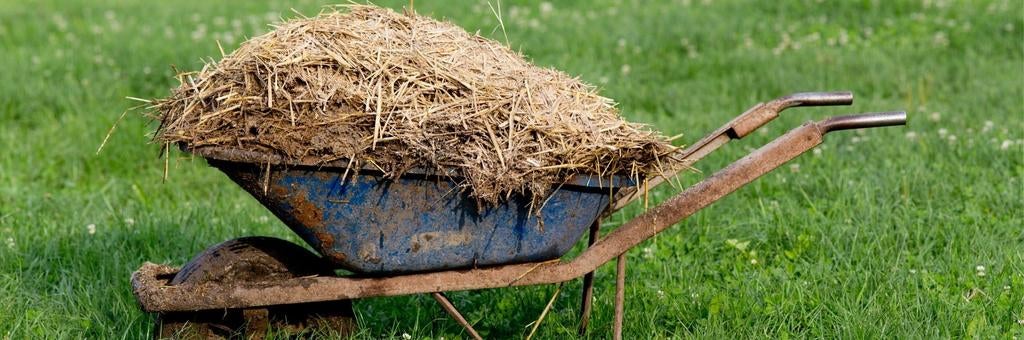 Doetinchem GRATIS - Geitenmest met stro / Geitenstalmest