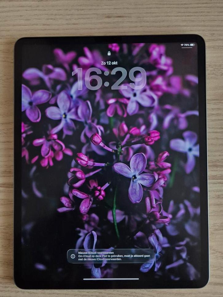 Ipad Pro 12.9 (2022) M2 128 gb met pen en accessoires, Computers en Software, Apple iPads, Zo goed als nieuw, Apple iPad, Wi-Fi