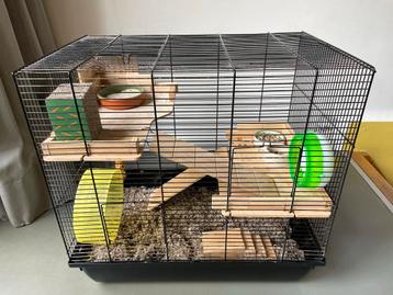 Hamster kooi en toebehoren beschikbaar voor biedingen