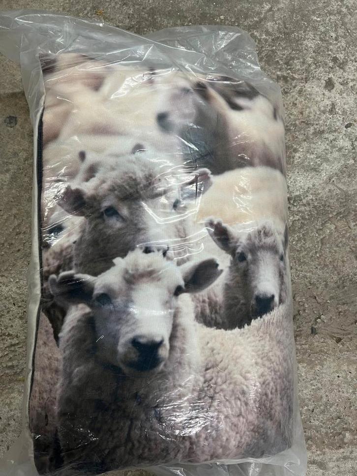 Te koop: 9 nieuwe lig kussens voor honden., Dieren en Toebehoren, Hondenmanden, Nieuw, Overige, Ophalen