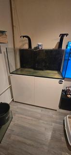 Redsea 425xl aquarium, Dieren en Toebehoren, Ophalen, Zo goed als nieuw, Leeg aquarium