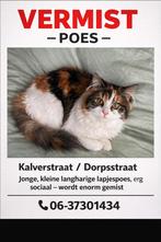 Poes vermist!