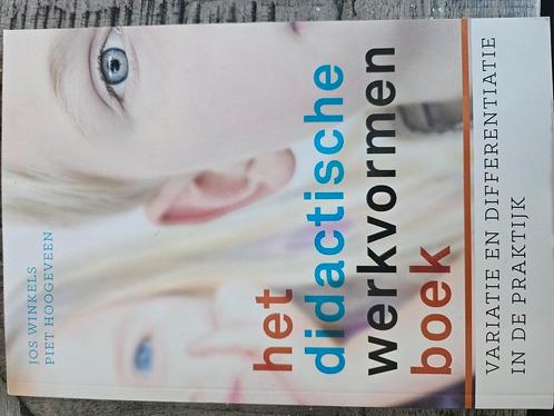 Piet Hoogeveen - Het didactische werkvormenboek, Boeken, Wetenschap, Zo goed als nieuw, Ophalen of Verzenden