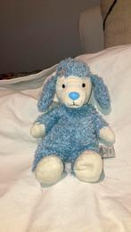 My blue nose hond pearl blauw poedel poodle, Ophalen of Verzenden, Hond