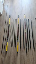 Spro Carpology Pro Vaste Hengel Set, Watersport en Boten, Ophalen of Verzenden, Gebruikt, Vaste hengel