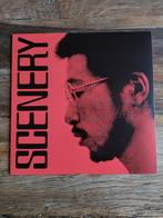 Ryo Fukui - Scenery - LP Vinyl jazz -zgan, 1960 tot 1980, Ophalen of Verzenden, Zo goed als nieuw, 12 inch