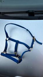 Veulen halster, Dieren en Toebehoren, Paarden en Pony's | Overige Paardenspullen, Ophalen of Verzenden, Overige soorten